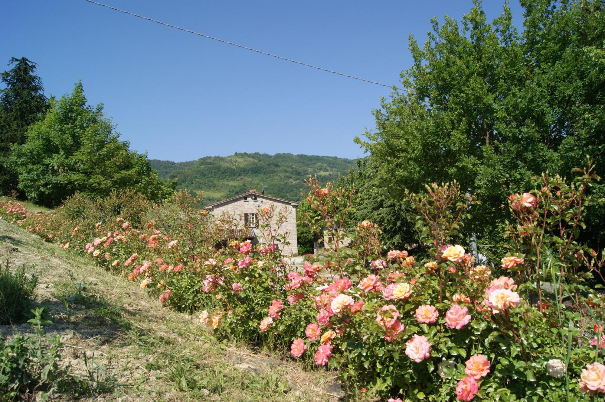 Agriturismo Corte Dei Mori Бризигелла Экстерьер фото
